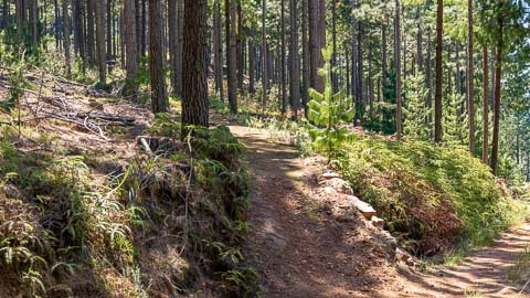 Mountain Biking | Misty Mountain