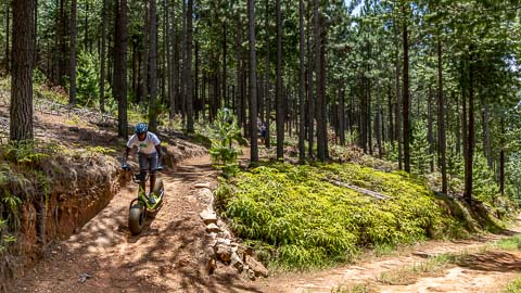 Long Tom Scootours | Misty Mountain