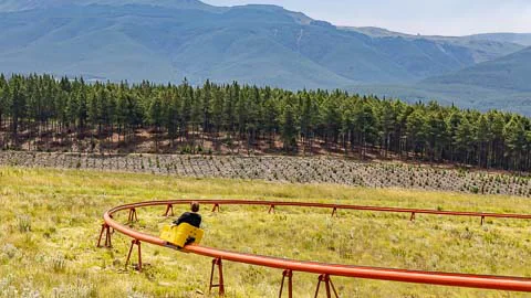 Long Tom Toboggan | Misty Mountain