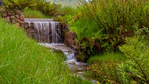 Walking Trails & Birding