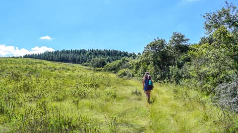 Walking Trails & Birding