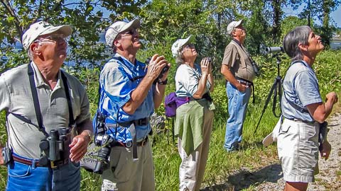 Walking Trails & Birding