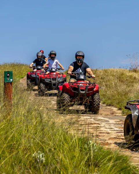 Guided Quad Biking