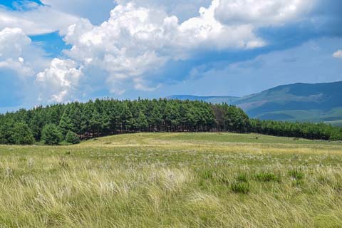 Walking Trails & Birding