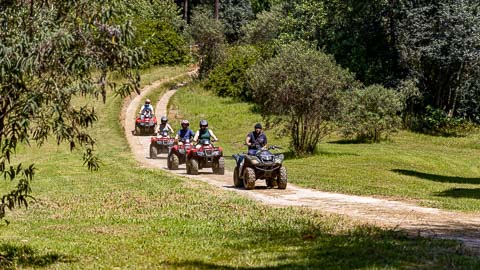 Guided Quad Biking