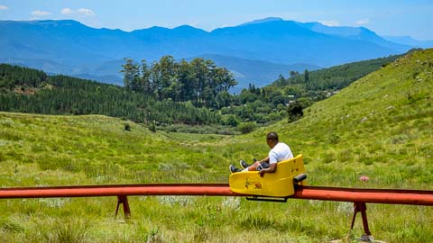 Long Tom Toboggan