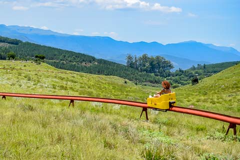 Long Tom Toboggan